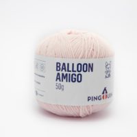 BallonAmi-4301