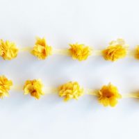 millare flor mostaza
