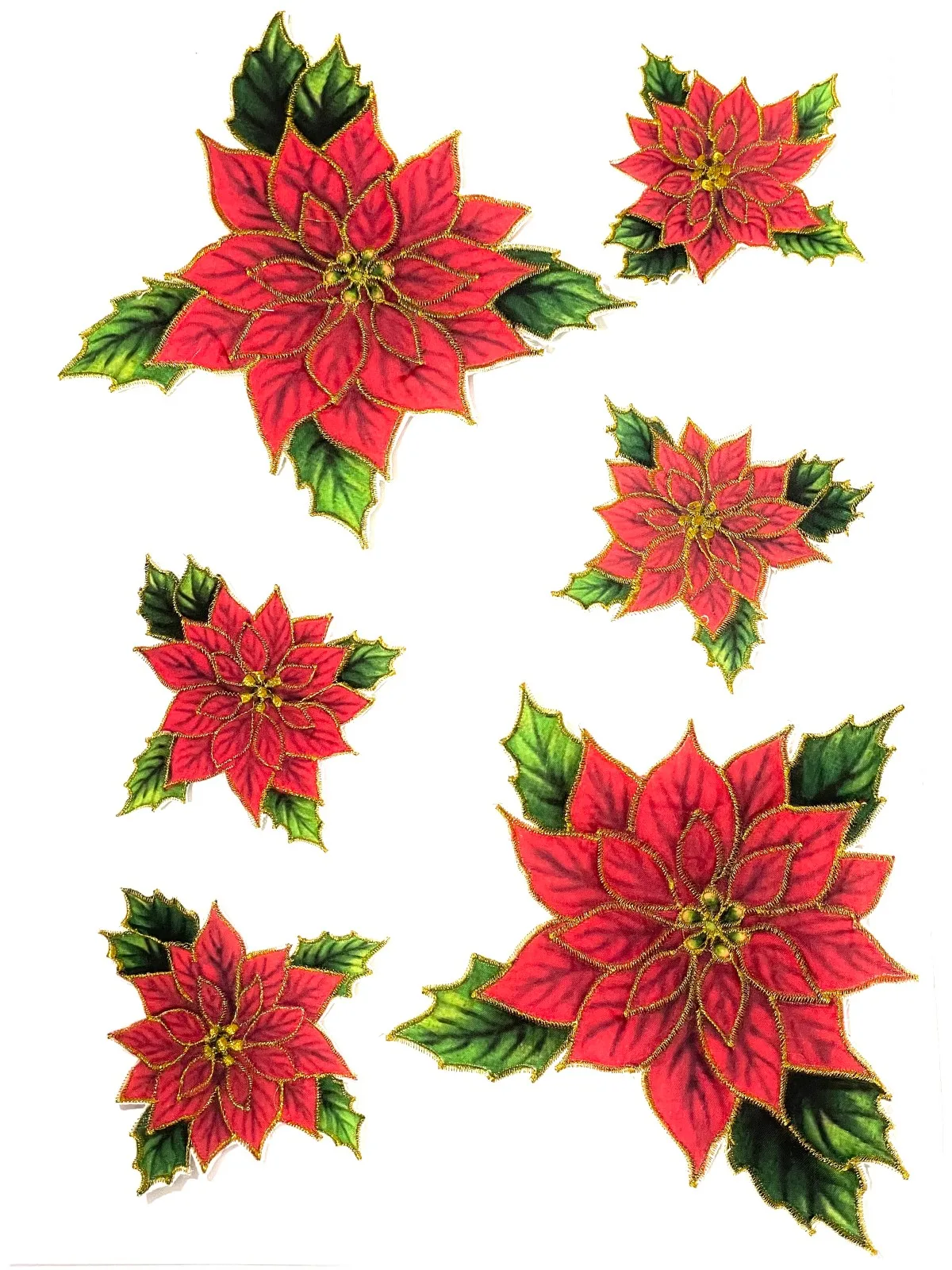 POINSETTIA