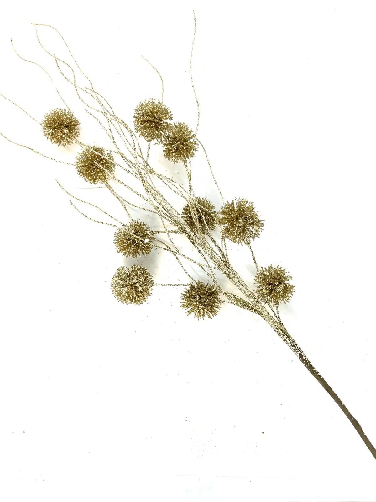 FOLLAJE POMPON CHAMPAÑA