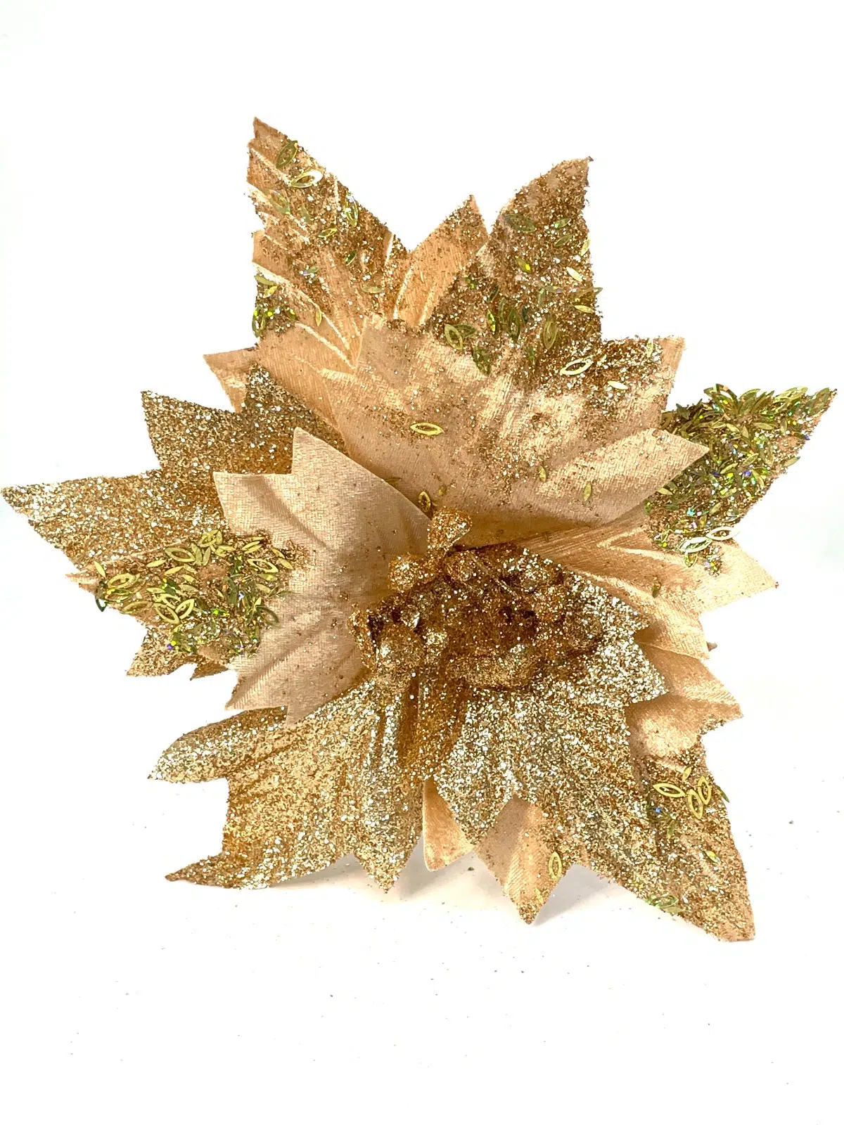 POINSETTIA 39X43CM OCRE