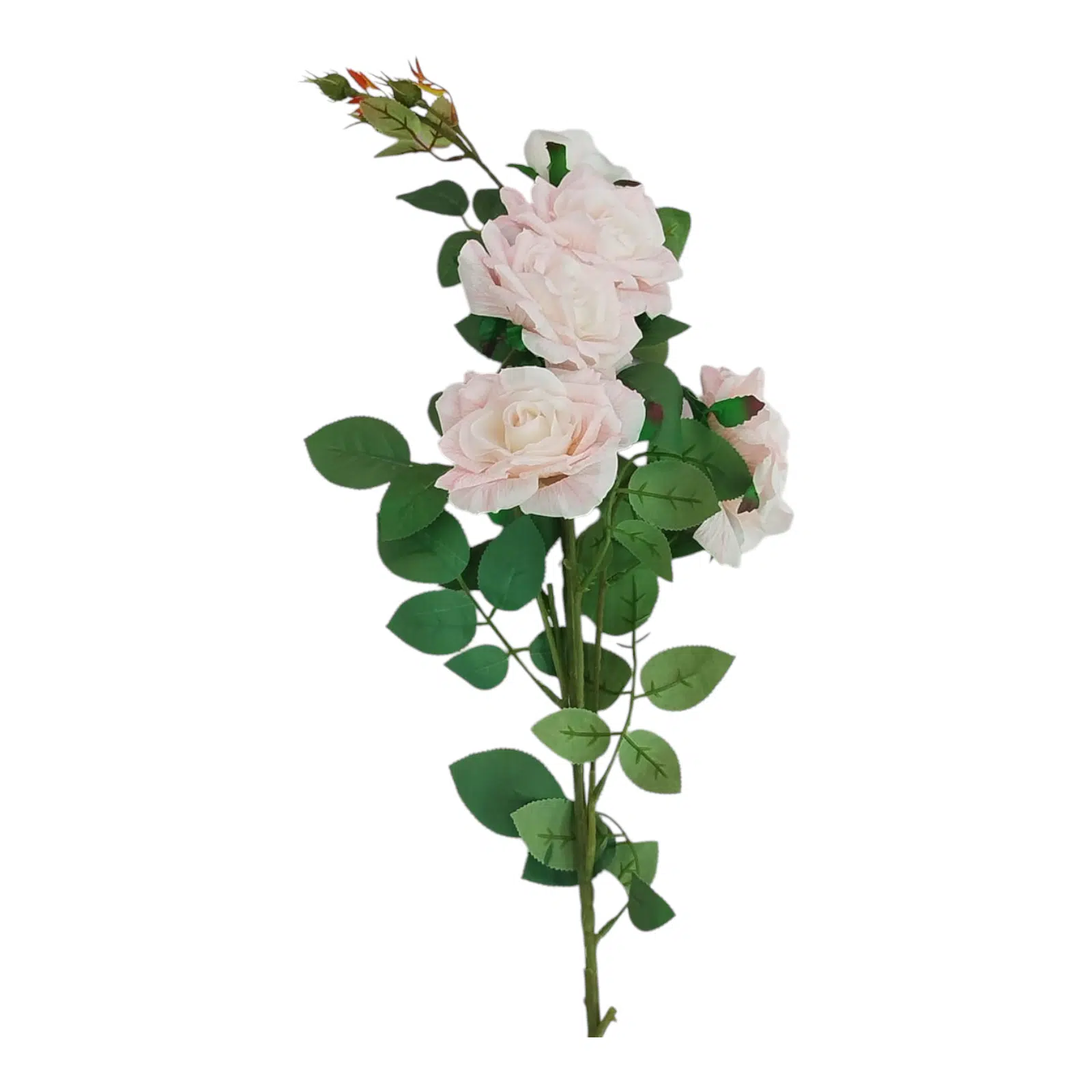 VARA ROSAS  FINAS X 5