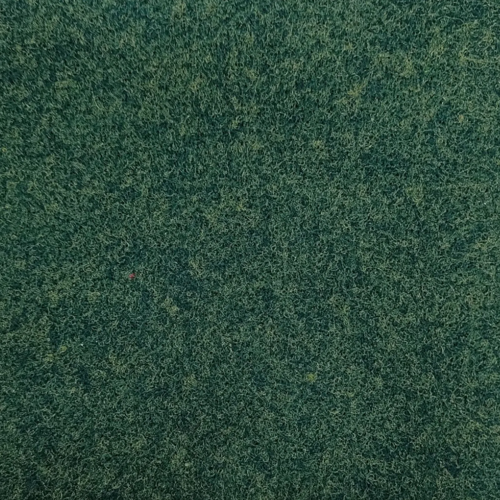 PAÑO LENCY BRILLANTE (verde oscuro )