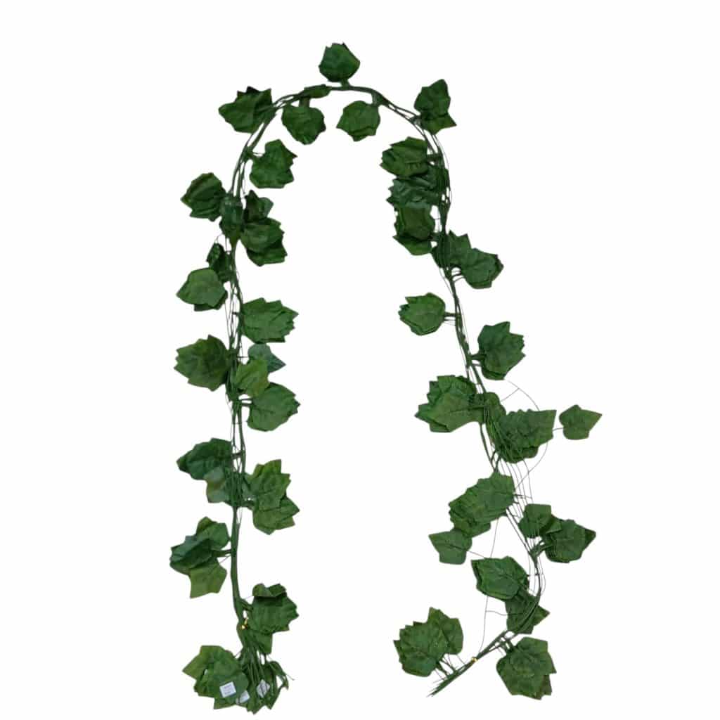 ENREDADERA HOJA SENCILLA – 30183